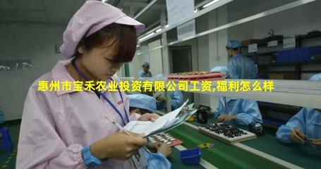惠州市寶禾農業投資 探索農業旅游新路徑，開啟生態休閑新體驗